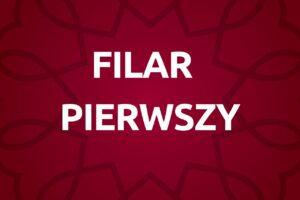 pierwsza rozmowa (12)