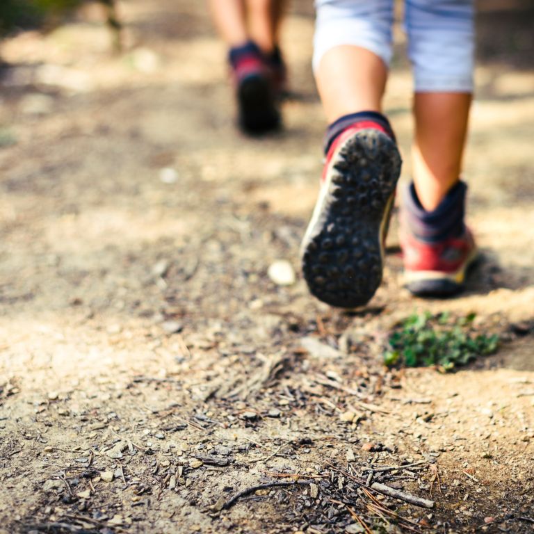 Bezpłatne szkolenie | ONLINE